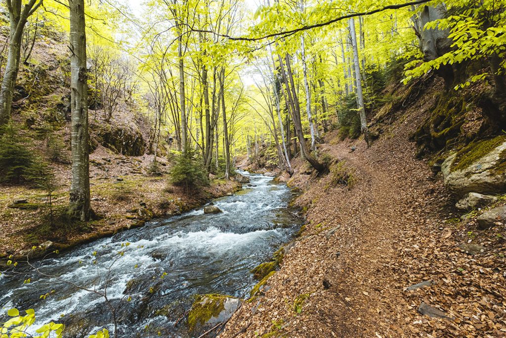 Красивата пътека към хижа Хубавец, която върви успоредно на Стара река