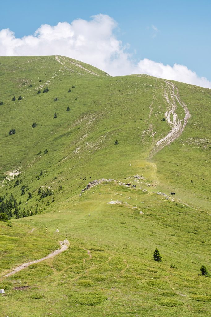 Пътят към връх Амбарица - Планинка Пътят към връх Амбарица в Стара планина при ясно време
