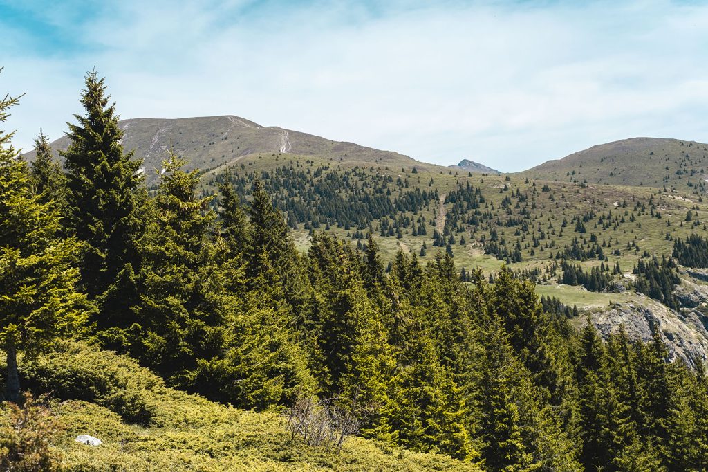 Гледка към връх Амбарица в Стара планина