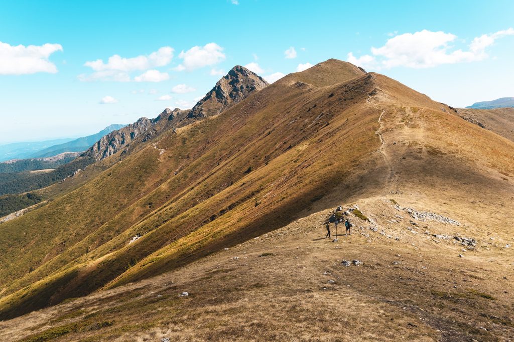 Връх Купена и връх Малка Амбарица