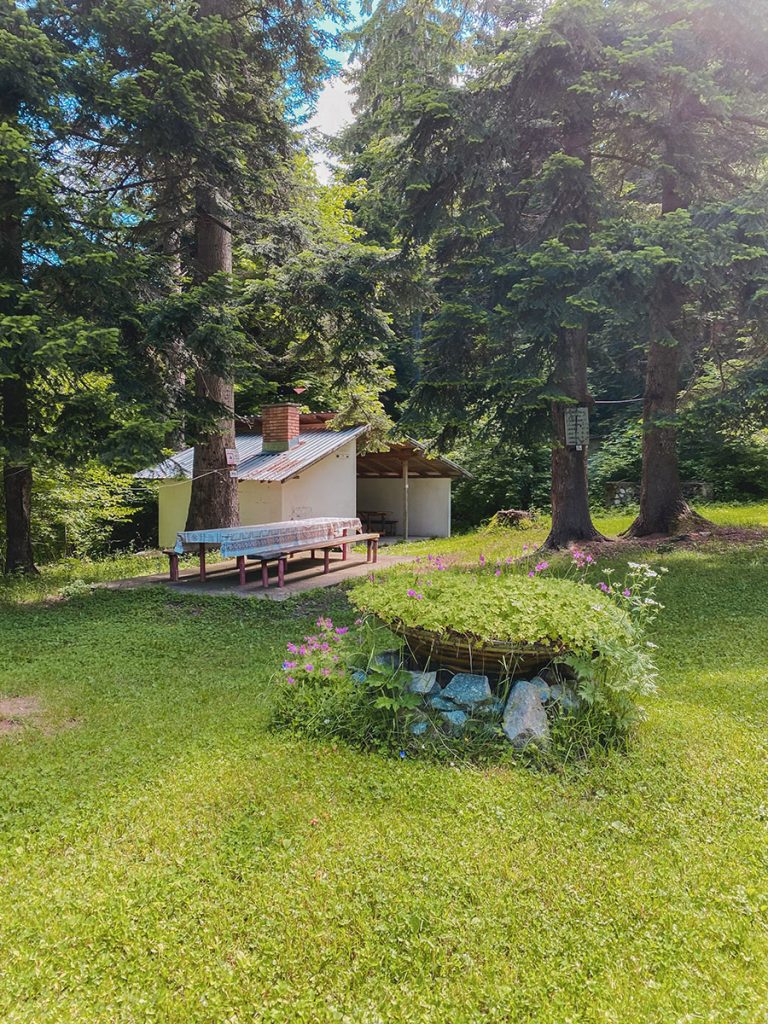 Пейки и цветя пред хижа Венетица