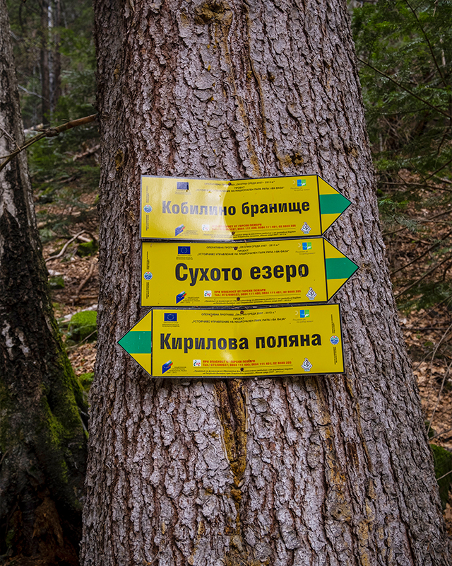 Жълти табели върху дърво за Сухото езеро